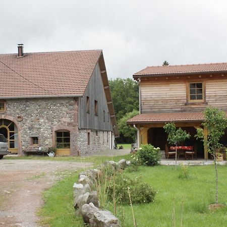 Gites Typiques Au Coeur Des Hautes Vosges Saulxures-sur-Moselotte Eksteriør billede