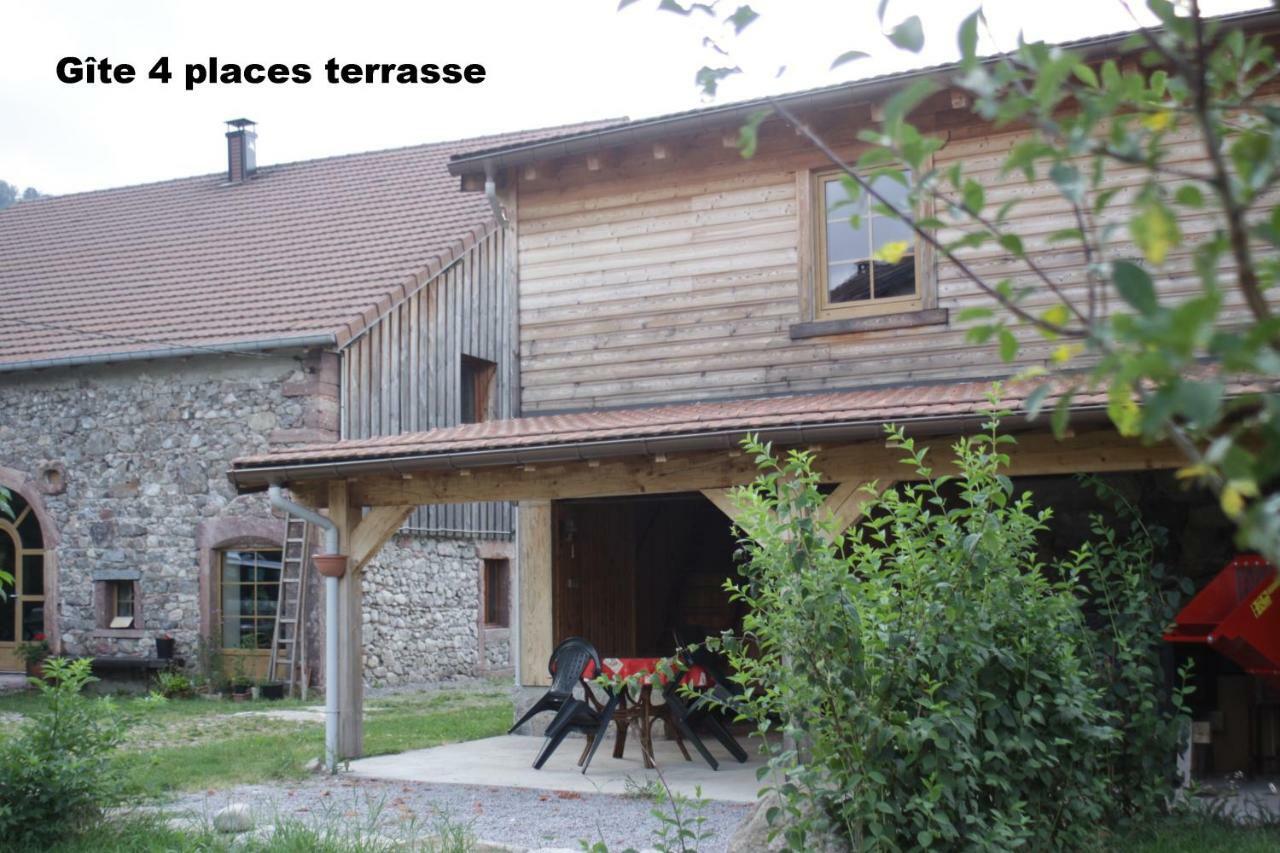 Gites Typiques Au Coeur Des Hautes Vosges Saulxures-sur-Moselotte Eksteriør billede
