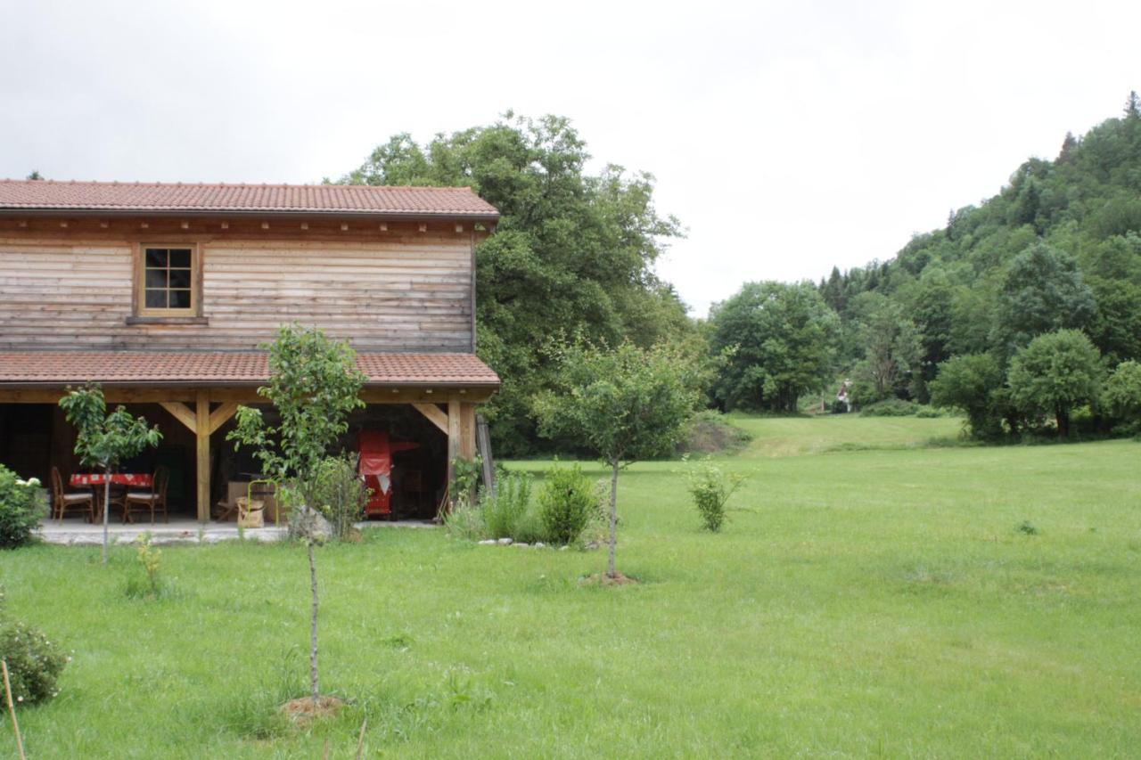 Gites Typiques Au Coeur Des Hautes Vosges Saulxures-sur-Moselotte Eksteriør billede